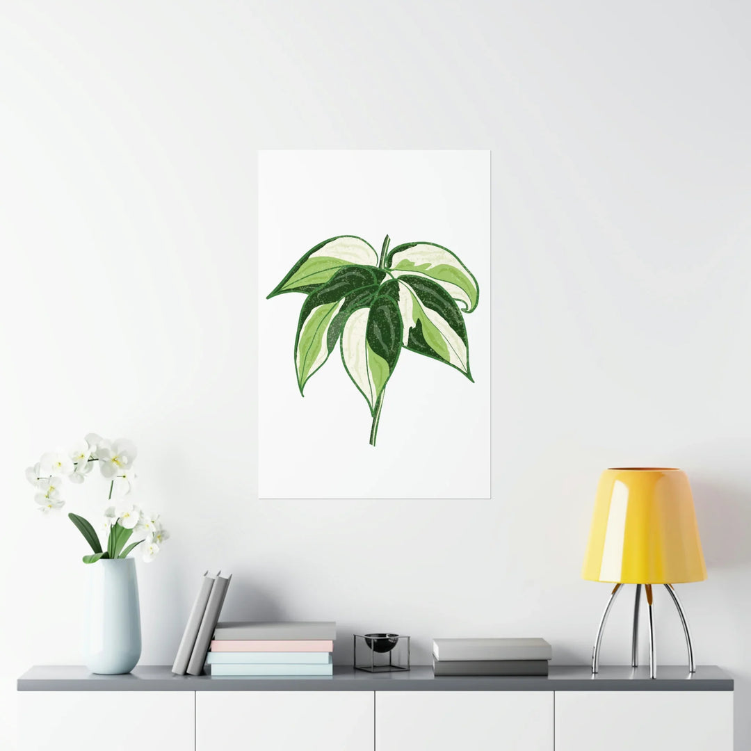 Philodendron Cream Splash Print Variegated Philodendron Poster On Museum Grade Paper Unframed