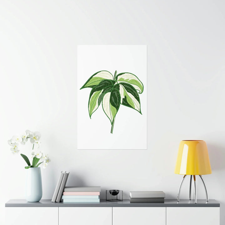 Philodendron Cream Splash Print Variegated Philodendron Poster On Museum Grade Paper Unframed