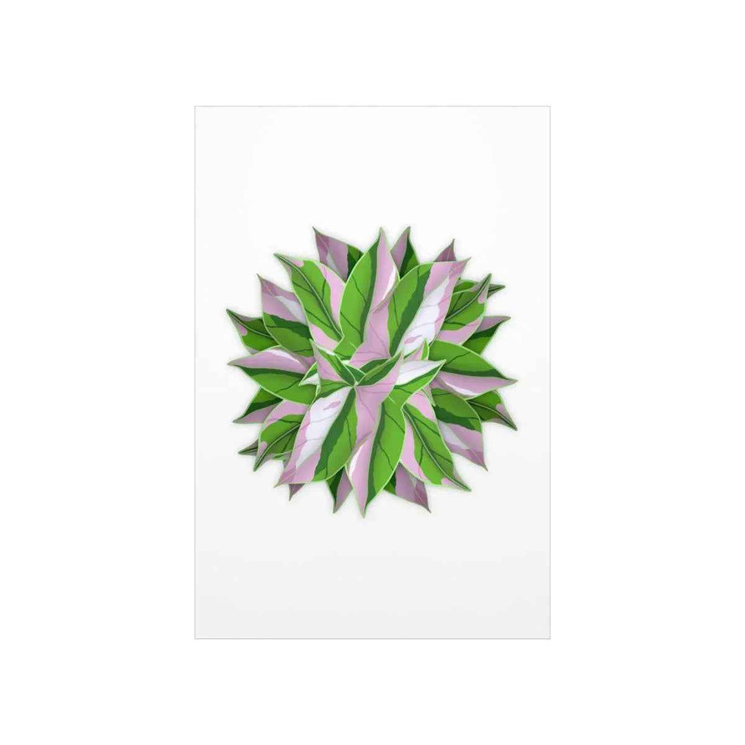Syngonium Tricolor Botanical Print – Unframed Wall Art - The Potted Pixel