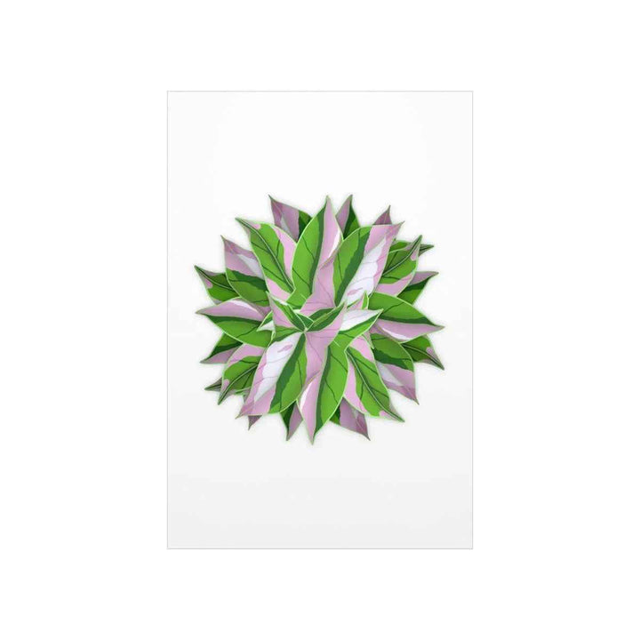 Syngonium Tricolor Botanical Print – Unframed Wall Art - The Potted Pixel