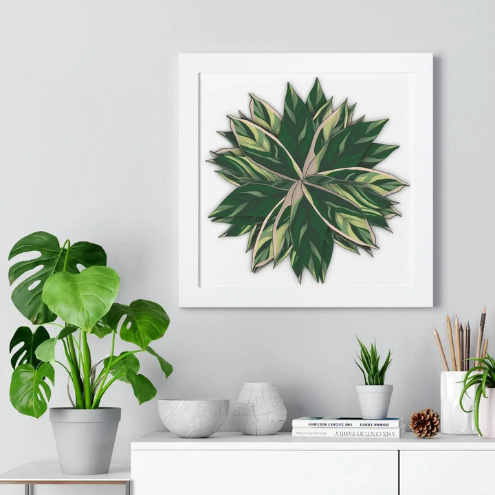 Stromanthe Triostar Framed Print, Poster, Laura Christine Photography & Design, Framed, Home & Living, Indoor, Paper, Posters, Laura Christine Photography & Design, laurachristinedesign.com