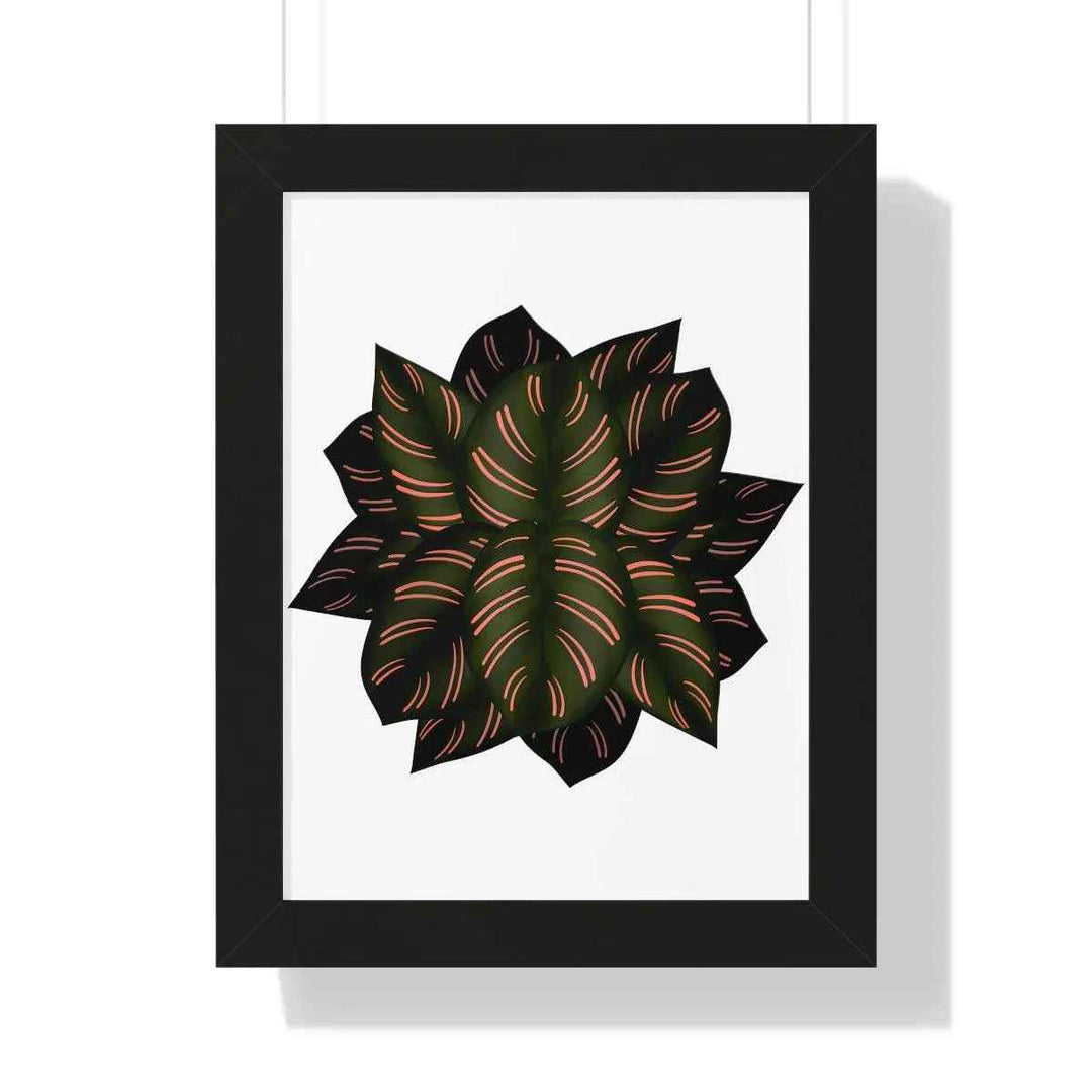 Calathea Pinstripe Print - Framed Botanical Art With Matte Finish & Acrylic Cover - The Potted Pixel