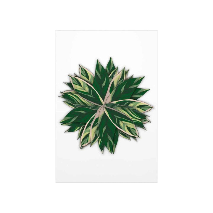 Stromanthe Triostar Print – Tropical Wall Art | Botanical Poster on Museum Grade Paper Unframed - The Potted Pixel