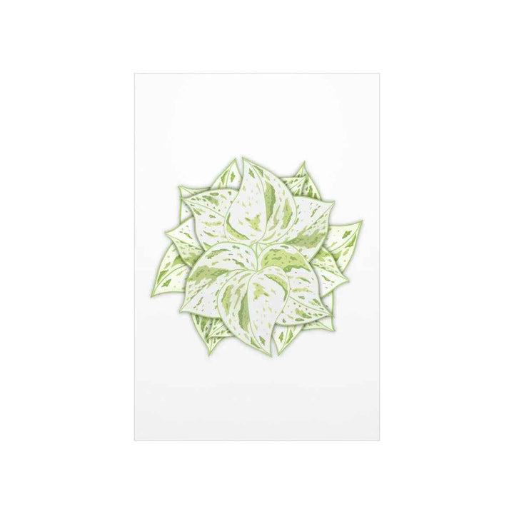 Snow Queen Pothos Print – Variegated Pothos Art on Museum Grade Paper Unframed - The Potted Pixel