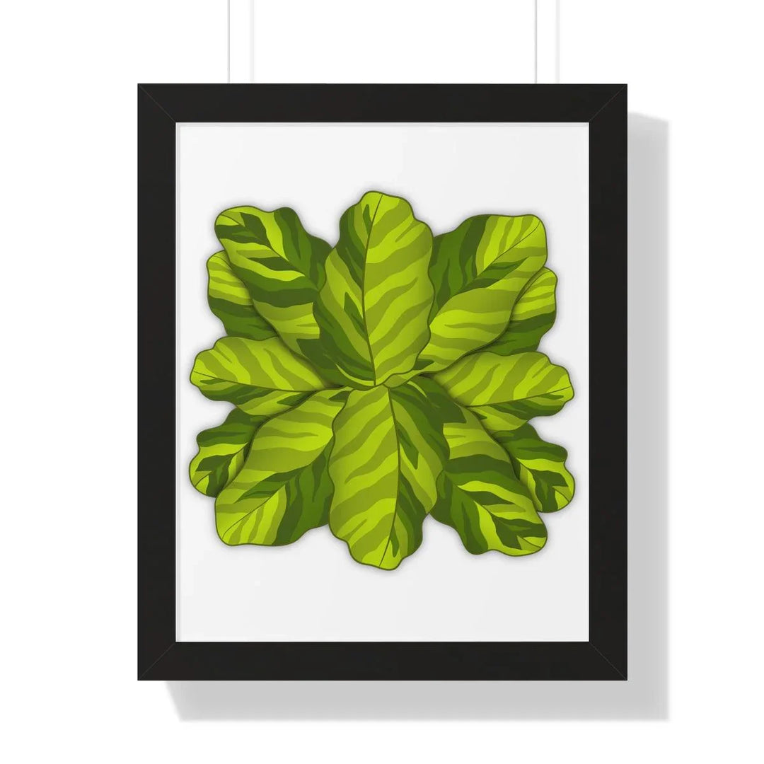 Calathea Yellow Fusion Framed Print, Poster, Laura Christine Photography & Design, Bottle, Calathea, Canvas Bag, Coffee, Drinkware, Framed, Home & Living, Indoor, Paper, Posters, Prayer Plant, Reusable, Shopping Bag, Tea, Tote Bag, Travel, Tumbler, Water, Yellow Fusion, Laura Christine Photography & Design, laurachristinedesign.com