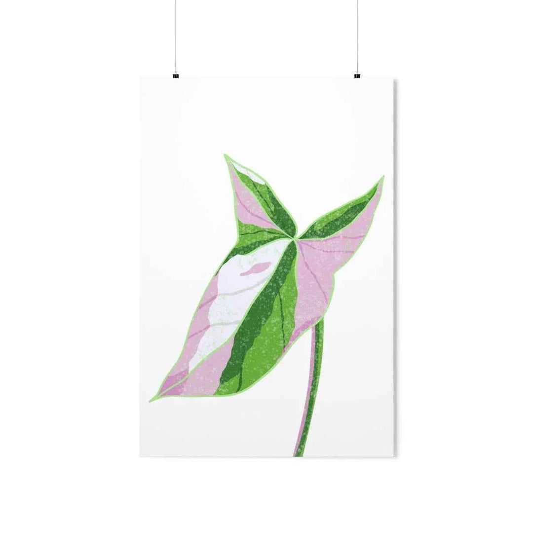 Syngonium Tricolor Print – Botanical Wall Art | Variegated Leaf Poster Unframed - The Potted Pixel