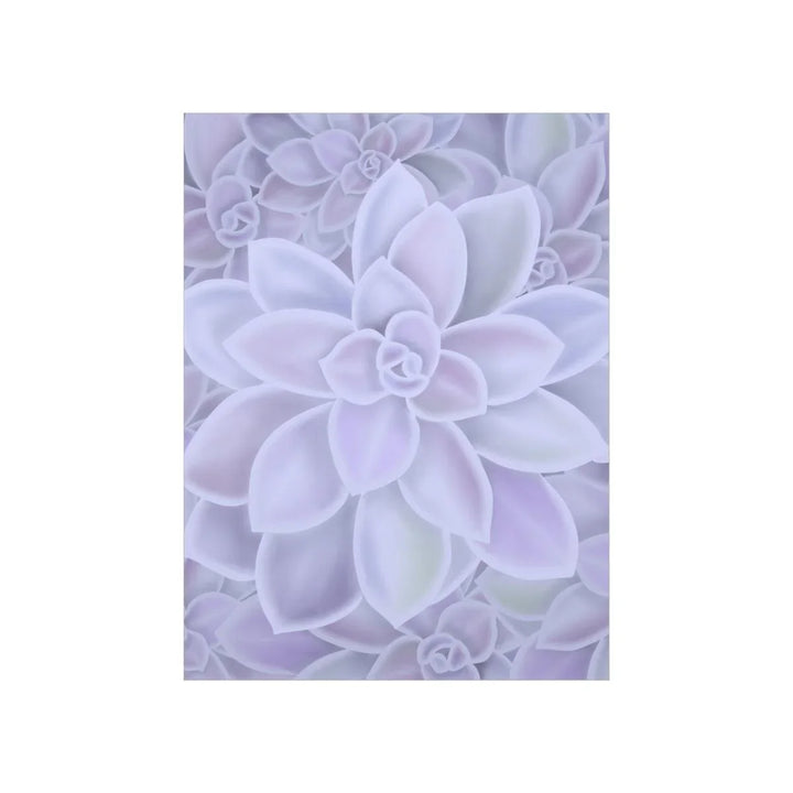 Graptopetalum 'Murasaki' Succulent Print, Poster, Laura Christine Photography & Design, Back to School, Home & Living, Indoor, Matte, Paper, Posters, Valentine's Day promotion, Laura Christine Photography & Design, laurachristinedesign.com