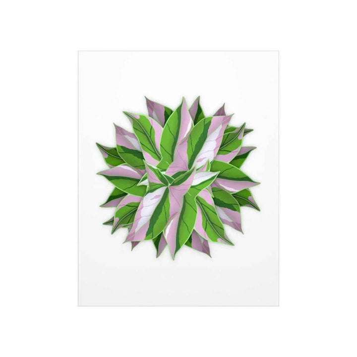 Syngonium Tricolor Botanical Print – Unframed Wall Art - The Potted Pixel
