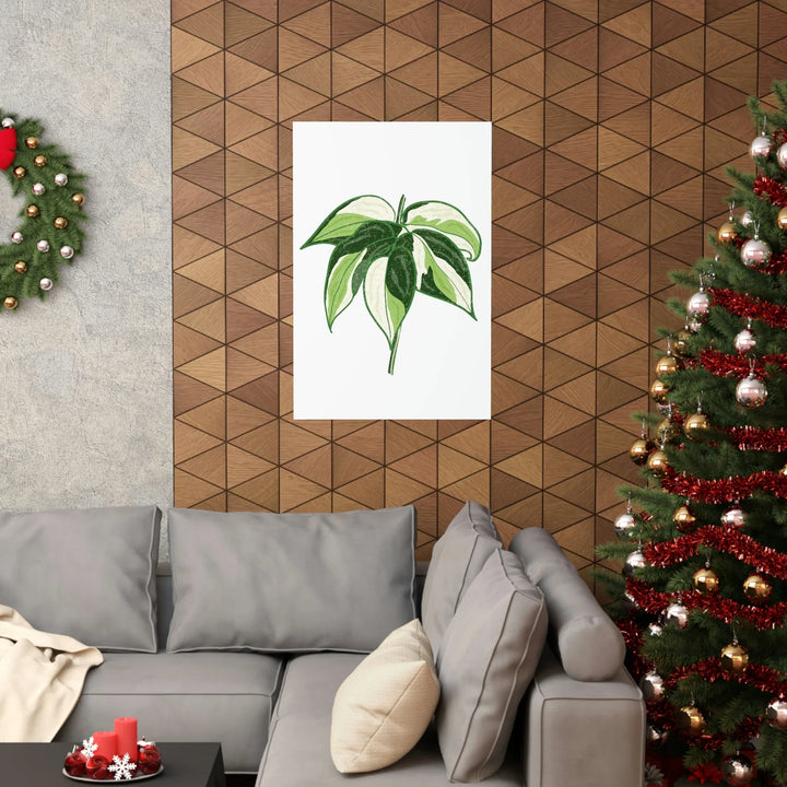 Philodendron Cream Splash Print Variegated Philodendron Poster On Museum Grade Paper Unframed