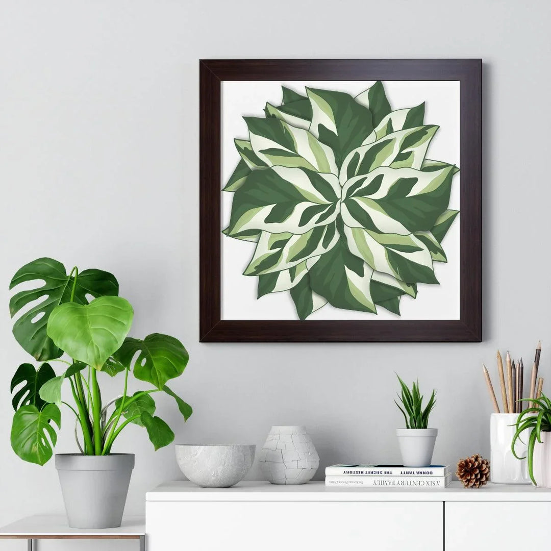 Calathea White Fusion Framed Print, Poster, Laura Christine Photography & Design, Bottle, Calathea, Canvas Bag, Coffee, Drinkware, Framed, Home & Living, Indoor, Paper, Posters, Prayer Plant, Reusable, Shopping Bag, Tea, Tote Bag, Travel, Tumbler, Water, White Fusion, Laura Christine Photography & Design, laurachristinedesign.com