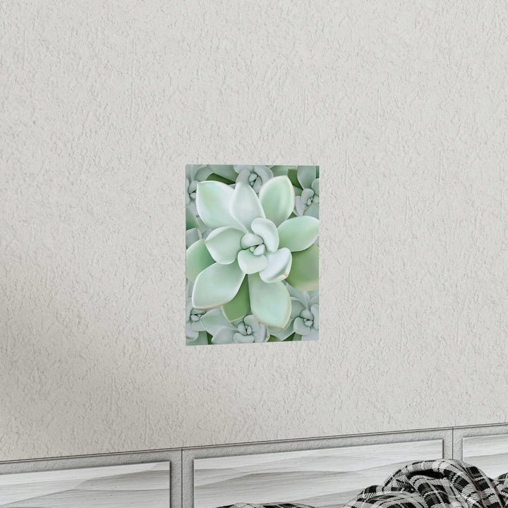 Pachyveria Haagei Succulent Pattern Print, Poster, Printify, Back to School, Home & Living, Indoor, Matte, Paper, Posters, Valentine's Day promotion, Laura Christine Photography & Design, laurachristinedesign.com