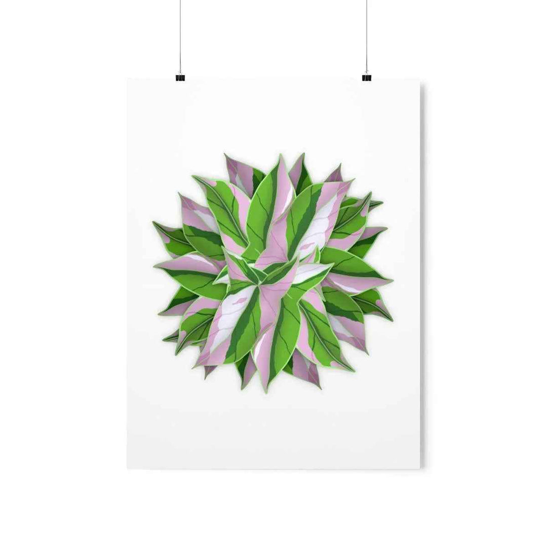 Syngonium Tricolor Botanical Print – Unframed Wall Art - The Potted Pixel
