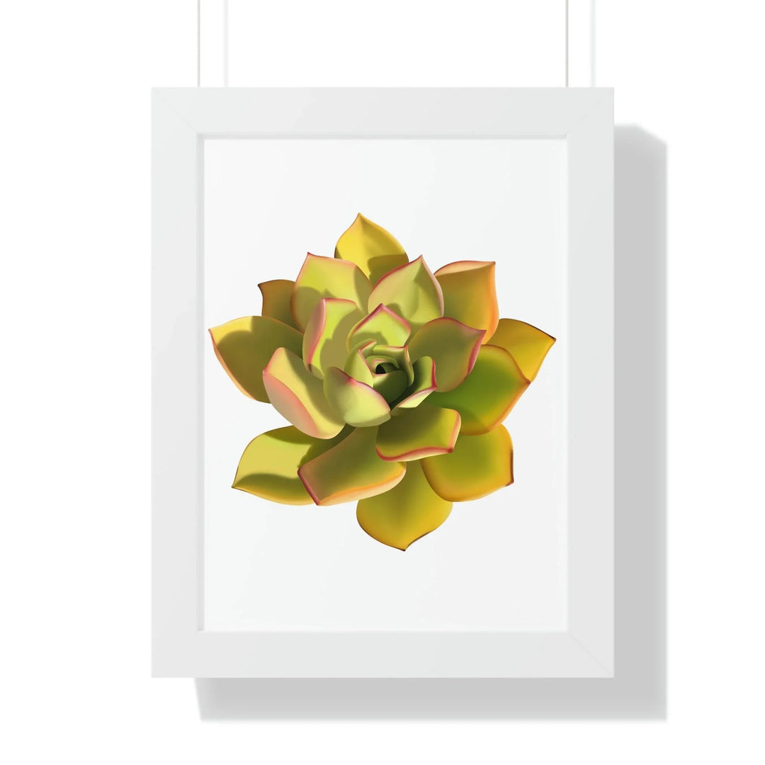 Noble Aeonium Succulent Framed Print, Poster, Printify, Framed, Home & Living, Indoor, Paper, Posters, Laura Christine Photography & Design, laurachristinedesign.com