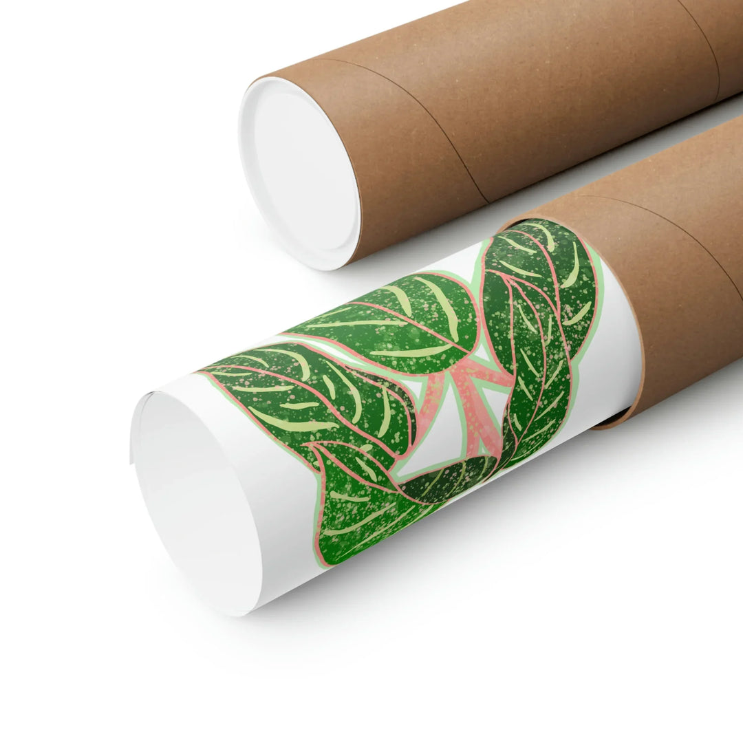 Aglaonema Art Print Sparkling Sarah Botanical Wall Art On Museum Grade Paper Unframed