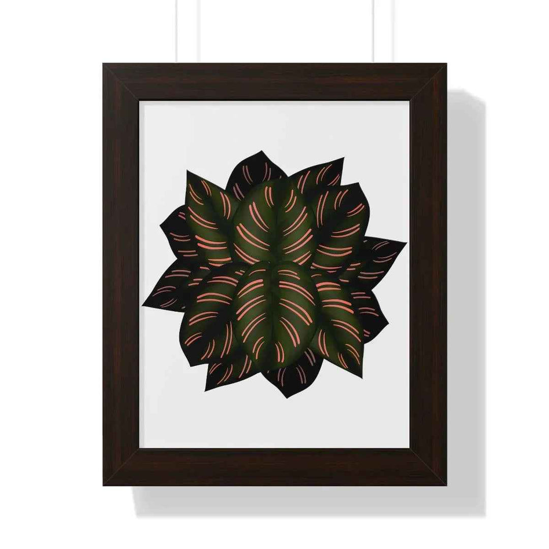 Calathea Pinstripe Print - Framed Botanical Art With Matte Finish & Acrylic Cover - The Potted Pixel