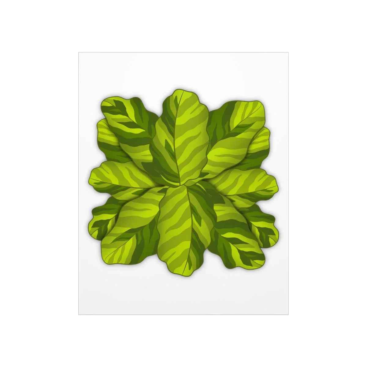 Calathea Yellow Fusion Print – Botanical Wall Art on Museum-Grade Paper Unframed - The Potted Pixel