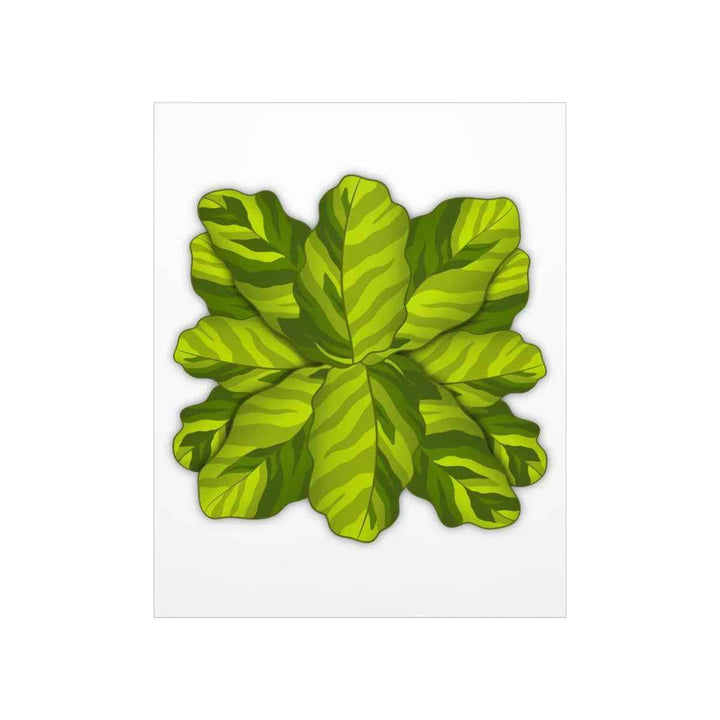 Calathea Yellow Fusion Print – Botanical Wall Art on Museum-Grade Paper Unframed - The Potted Pixel