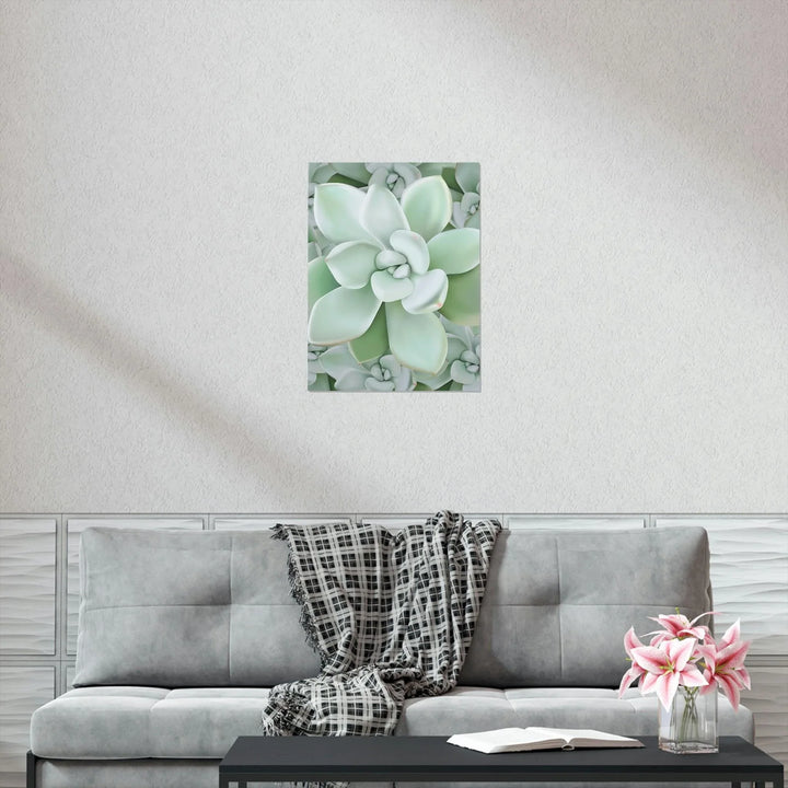 Pachyveria Haagei Succulent Pattern Print, Poster, Printify, Back to School, Home & Living, Indoor, Matte, Paper, Posters, Valentine's Day promotion, Laura Christine Photography & Design, laurachristinedesign.com