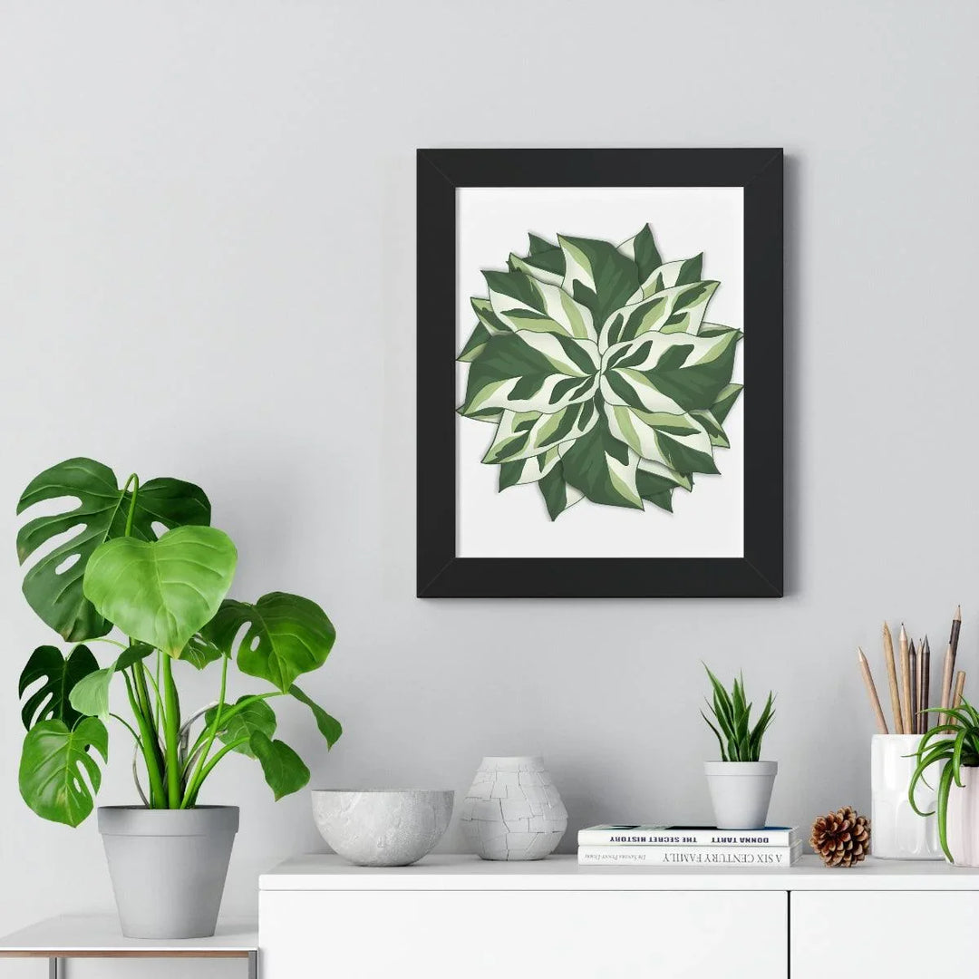 Calathea White Fusion Framed Print, Poster, Laura Christine Photography & Design, Bottle, Calathea, Canvas Bag, Coffee, Drinkware, Framed, Home & Living, Indoor, Paper, Posters, Prayer Plant, Reusable, Shopping Bag, Tea, Tote Bag, Travel, Tumbler, Water, White Fusion, Laura Christine Photography & Design, laurachristinedesign.com