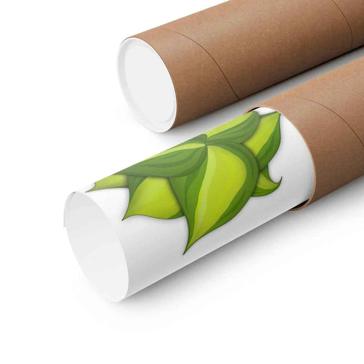 Philodendron Brasil Print – Botanical Wall Art on Museum Grade Paper Poster Unframed - The Potted Pixel