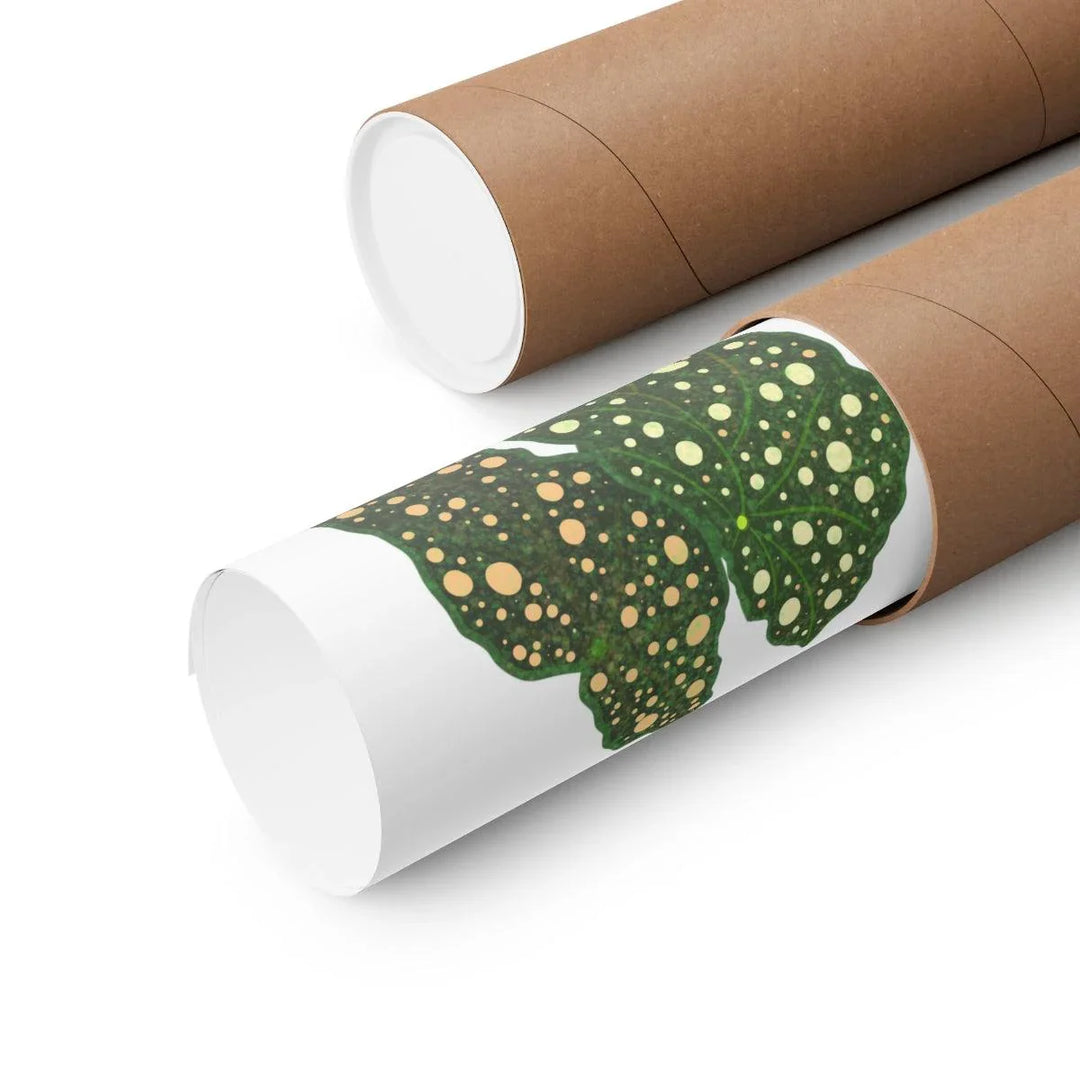 Begonia Maculata Print - Botanical Wall Art on Museum Grade Paper | Matte Finish Unframed - The Potted Pixel