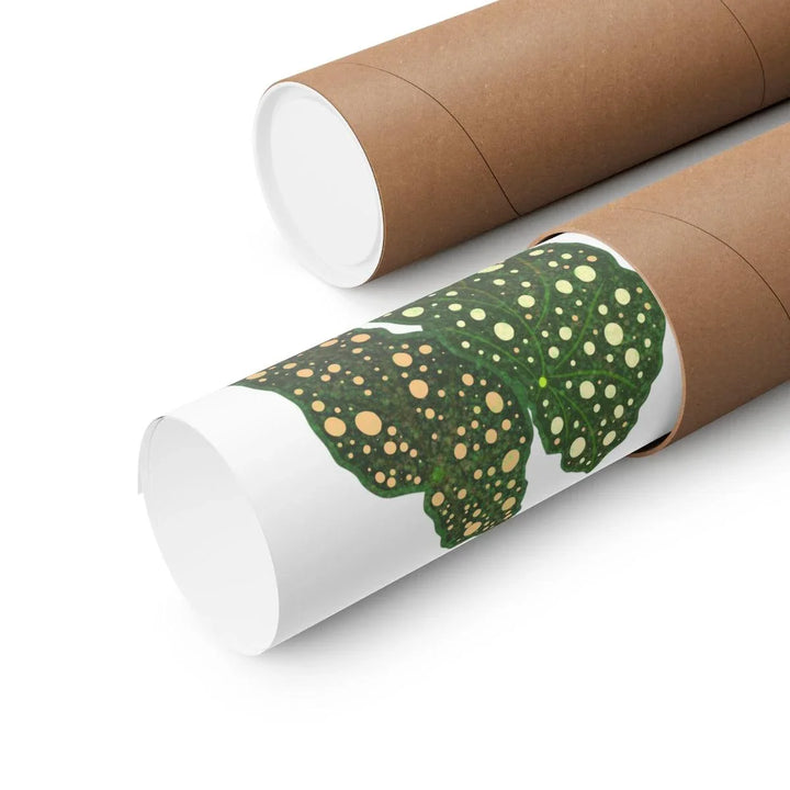 Begonia Maculata Print - Botanical Wall Art on Museum Grade Paper | Matte Finish Unframed - The Potted Pixel