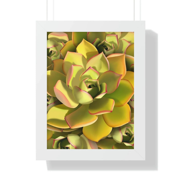 Noble Aeonium Succulent Pattern Framed Print, Poster, Printify, Framed, Home & Living, Indoor, Paper, Posters, Laura Christine Photography & Design, laurachristinedesign.com