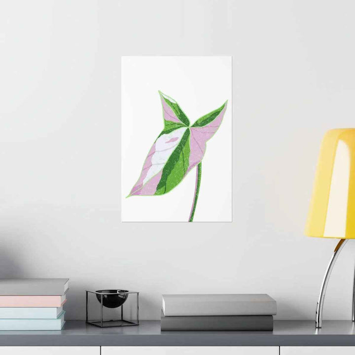 Syngonium Tricolor Print – Botanical Wall Art | Variegated Leaf Poster Unframed - The Potted Pixel