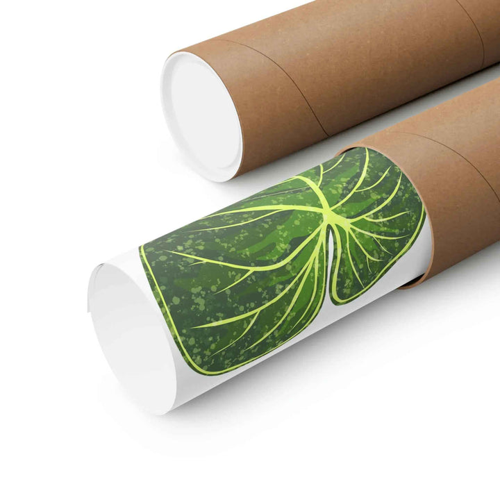 Philodendron Gloriosum Print Botanical Wall Art – Tropical Leaf Poster on Museum-Grade Paper - The Potted Pixel