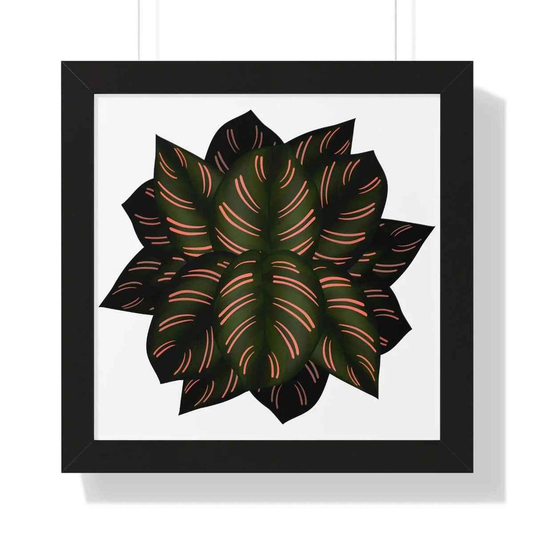 Calathea Pinstripe Print - Framed Botanical Art With Matte Finish & Acrylic Cover - The Potted Pixel