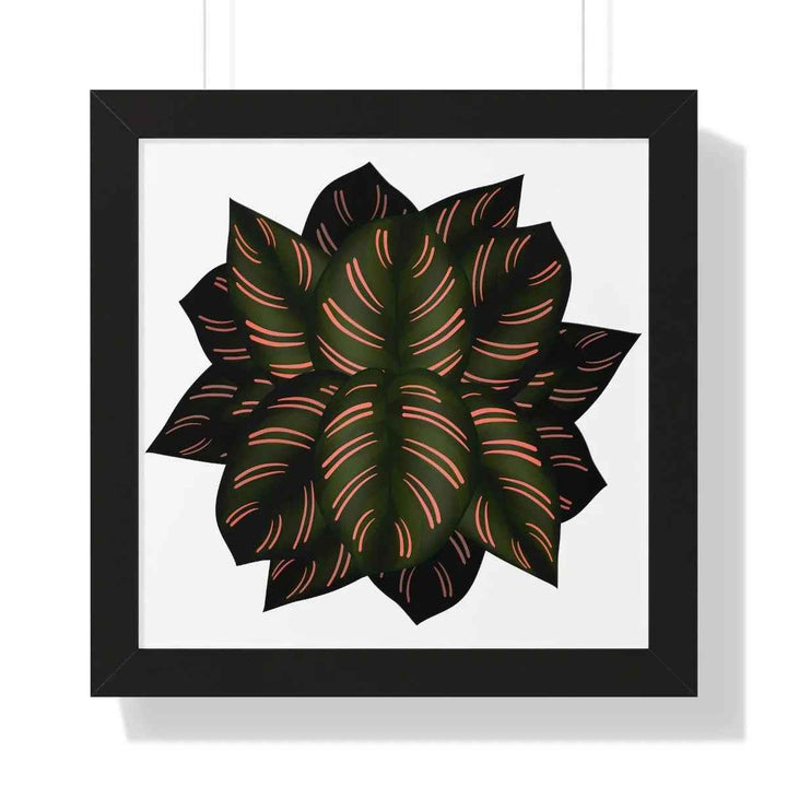 Calathea Pinstripe Print - Framed Botanical Art With Matte Finish & Acrylic Cover - The Potted Pixel