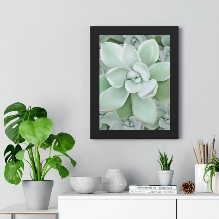 Pachyveria Haagei Succulent Pattern Framed Print, Poster, Printify, Framed, Home & Living, Indoor, Paper, Posters, Laura Christine Photography & Design, laurachristinedesign.com