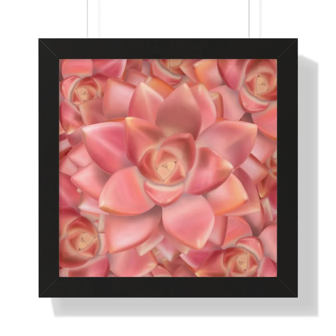 Graptosedum 'California Sunset' Succulent Framed Print, Poster, Laura Christine Photography & Design, Framed, Home & Living, Indoor, Paper, Posters, Laura Christine Photography & Design, laurachristinedesign.com