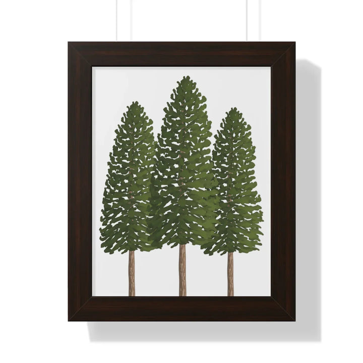 Ponderosa Pine Print Framed Wall Art With Matte Finish And Protective Acrylic Cover For Rustic Home Decor