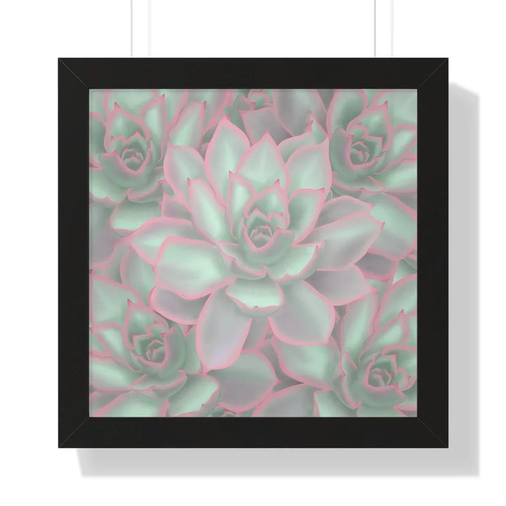 Echeveria Violet Queen Succulent Framed Print, Poster, Laura Christine Photography & Design, Framed, Home & Living, Indoor, Paper, Posters, Laura Christine Photography & Design, laurachristinedesign.com