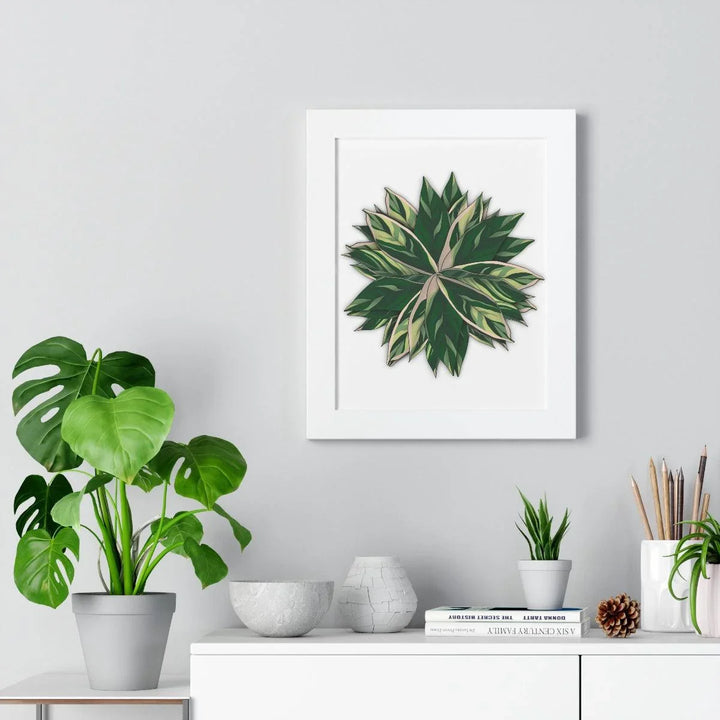 Stromanthe Triostar Framed Print, Poster, Laura Christine Photography & Design, Framed, Home & Living, Indoor, Paper, Posters, Laura Christine Photography & Design, laurachristinedesign.com