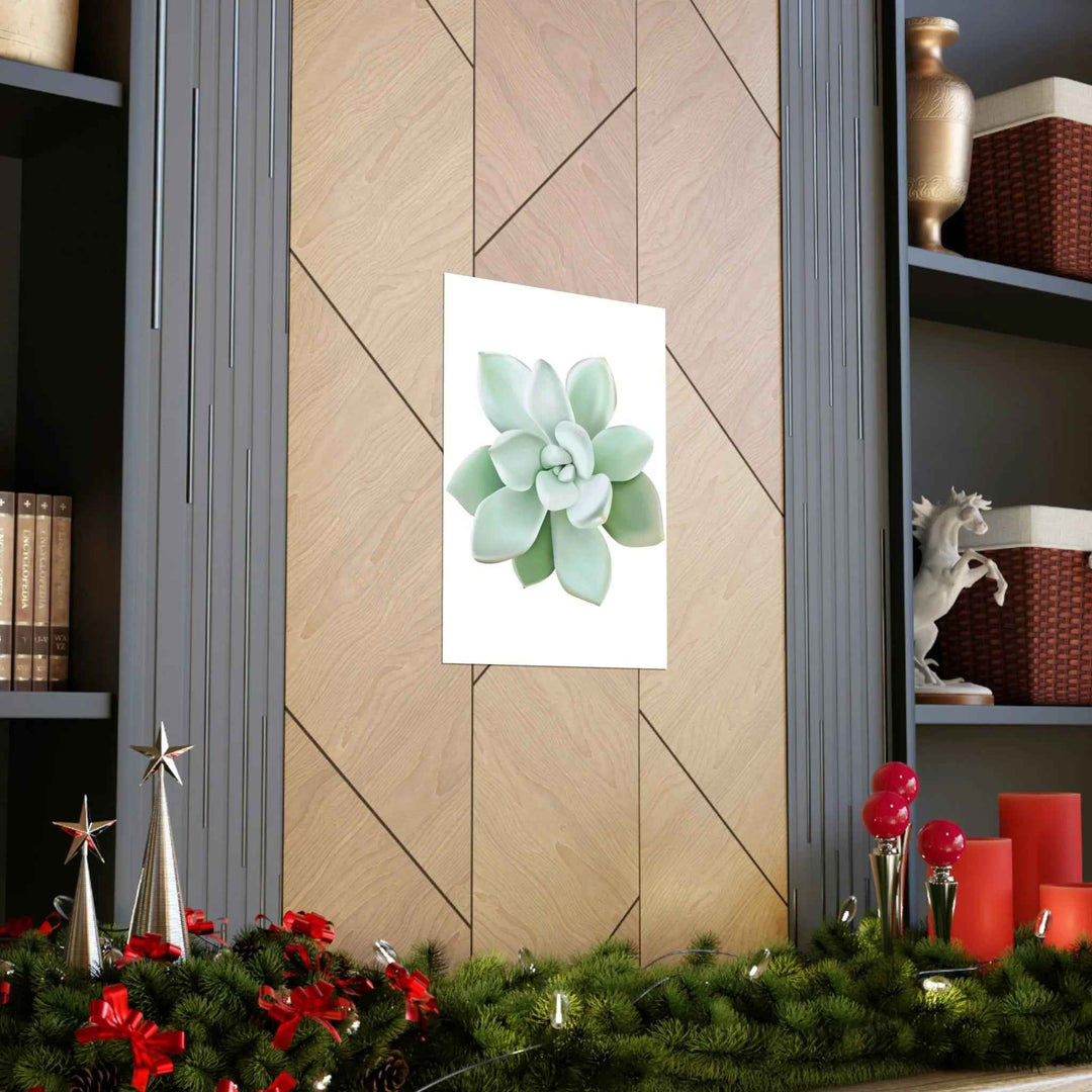 POS Pachyveria Print