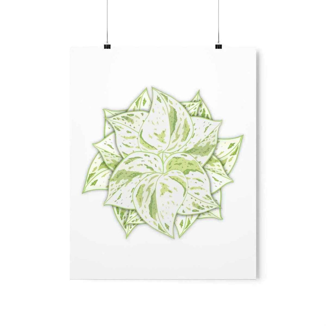 Snow Queen Pothos Print – Variegated Pothos Art on Museum Grade Paper Unframed - The Potted Pixel