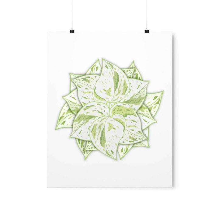 Snow Queen Pothos Print – Variegated Pothos Art on Museum Grade Paper Unframed - The Potted Pixel