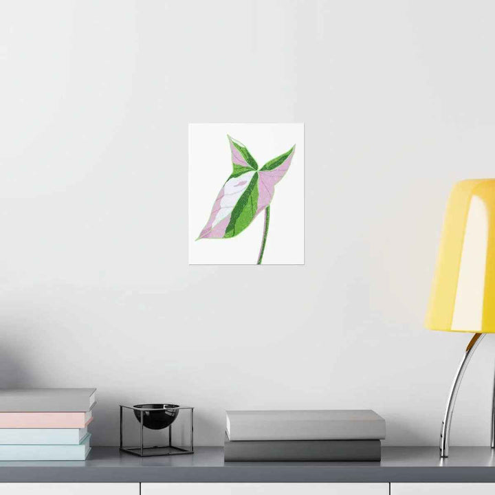 Syngonium Tricolor Print – Botanical Wall Art | Variegated Leaf Poster Unframed - The Potted Pixel