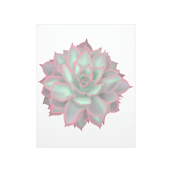 Echeveria Violet Queen Print Succulent Wall Art Botanical Poster On Museum Grade Paper For Indoor Plant Decor