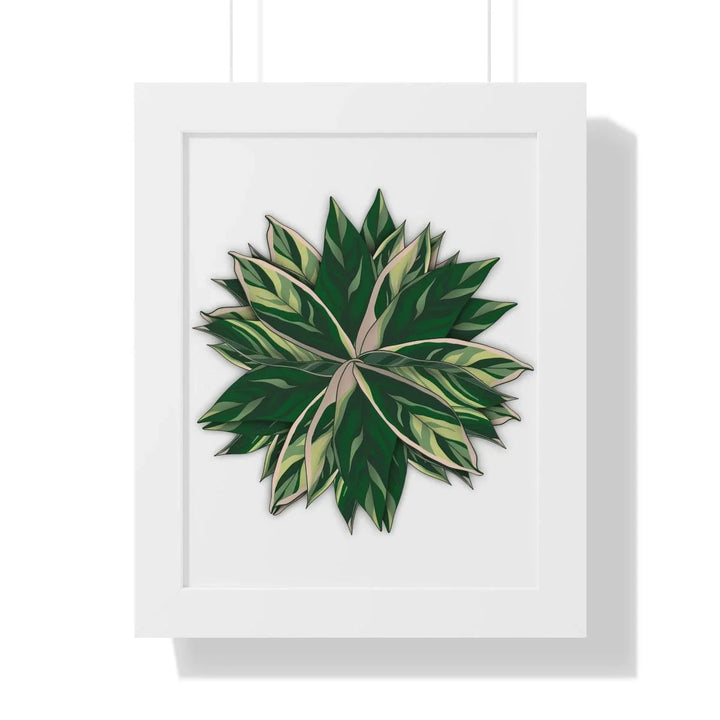 Stromanthe Triostar Framed Print, Poster, Laura Christine Photography & Design, Framed, Home & Living, Indoor, Paper, Posters, Laura Christine Photography & Design, laurachristinedesign.com