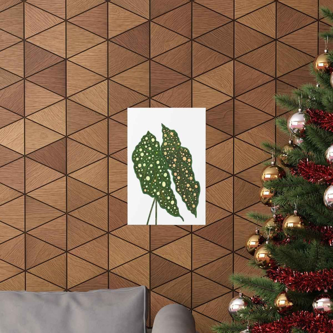 Begonia Maculata Print - Botanical Wall Art on Museum Grade Paper | Matte Finish Unframed - The Potted Pixel