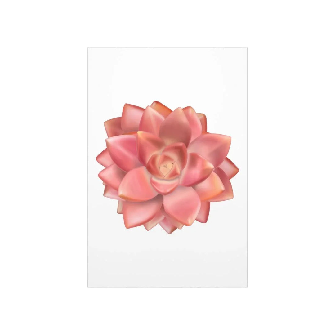 Graptosedum 'California Sunset'  Succulent Print, Poster, Laura Christine Photography & Design, Back to School, Home & Living, Indoor, Matte, Paper, Posters, Valentine's Day promotion, Laura Christine Photography & Design, laurachristinedesign.com