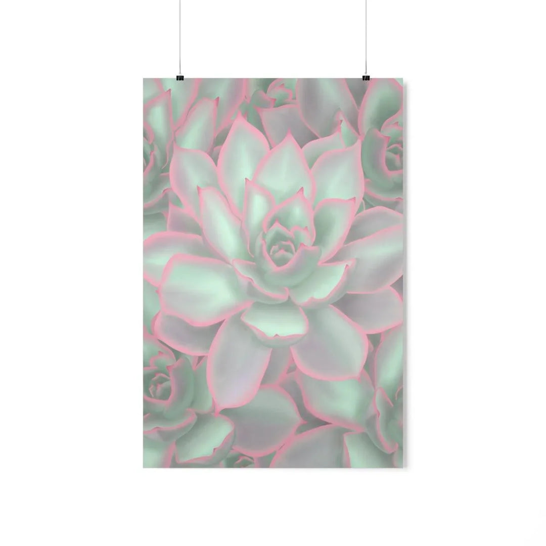 Echeveria Violet Queen Succulent Print, Poster, Laura Christine Photography & Design, Back to School, Home & Living, Indoor, Matte, Paper, Posters, Valentine's Day promotion, Laura Christine Photography & Design, laurachristinedesign.com