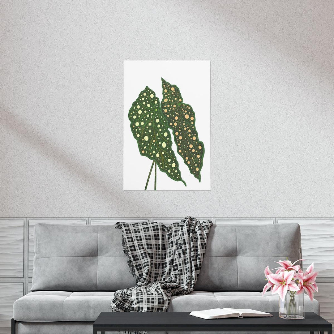 Begonia Maculata Print - Botanical Wall Art on Museum Grade Paper | Matte Finish Unframed - The Potted Pixel