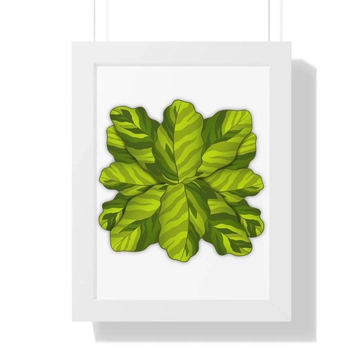 Calathea Yellow Fusion Framed Print, Poster, Laura Christine Photography & Design, Bottle, Calathea, Canvas Bag, Coffee, Drinkware, Framed, Home & Living, Indoor, Paper, Posters, Prayer Plant, Reusable, Shopping Bag, Tea, Tote Bag, Travel, Tumbler, Water, Yellow Fusion, Laura Christine Photography & Design, laurachristinedesign.com