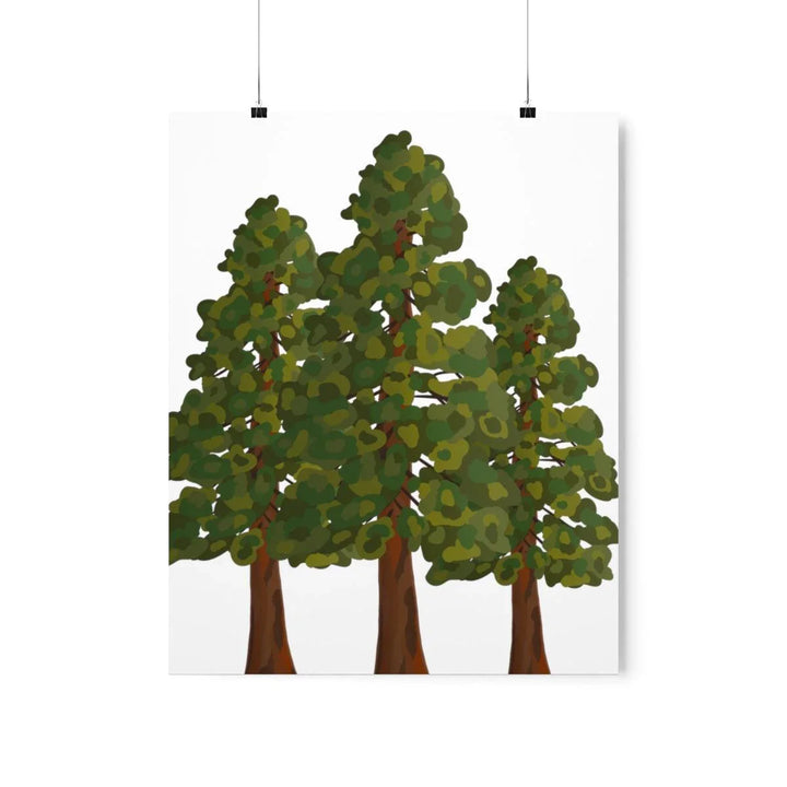 Coastal Redwoods Print, Poster, Laura Christine Photography & Design, Back to School, Home & Living, Indoor, Matte, Paper, Posters, Valentine's Day promotion, Laura Christine Photography & Design, laurachristinedesign.com