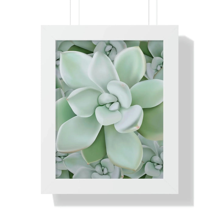 Pachyveria Haagei Succulent Pattern Framed Print, Poster, Printify, Framed, Home & Living, Indoor, Paper, Posters, Laura Christine Photography & Design, laurachristinedesign.com