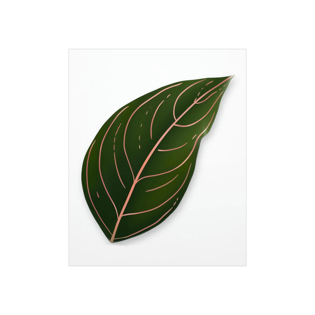 Aglaonema Rotundum Print Botanical Wall Art On Museum Grade Paper Unframed Poster Home Decor